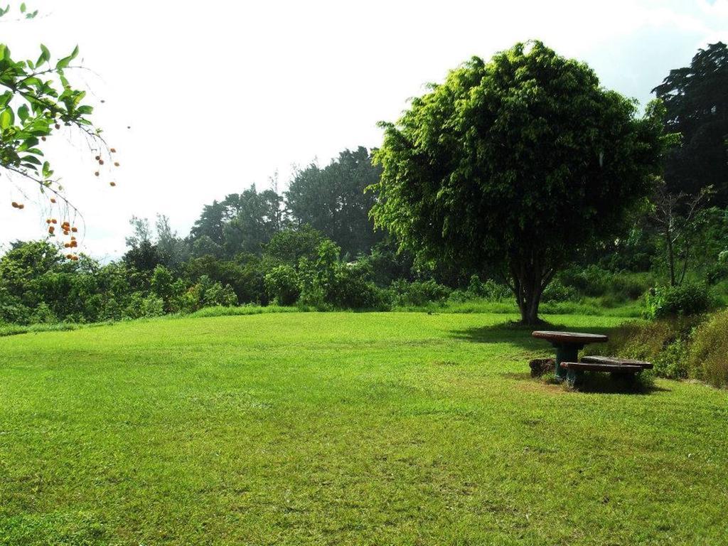 Hotel Las Fresas Del Volcan Poas Sabana Redonda 外观 照片
