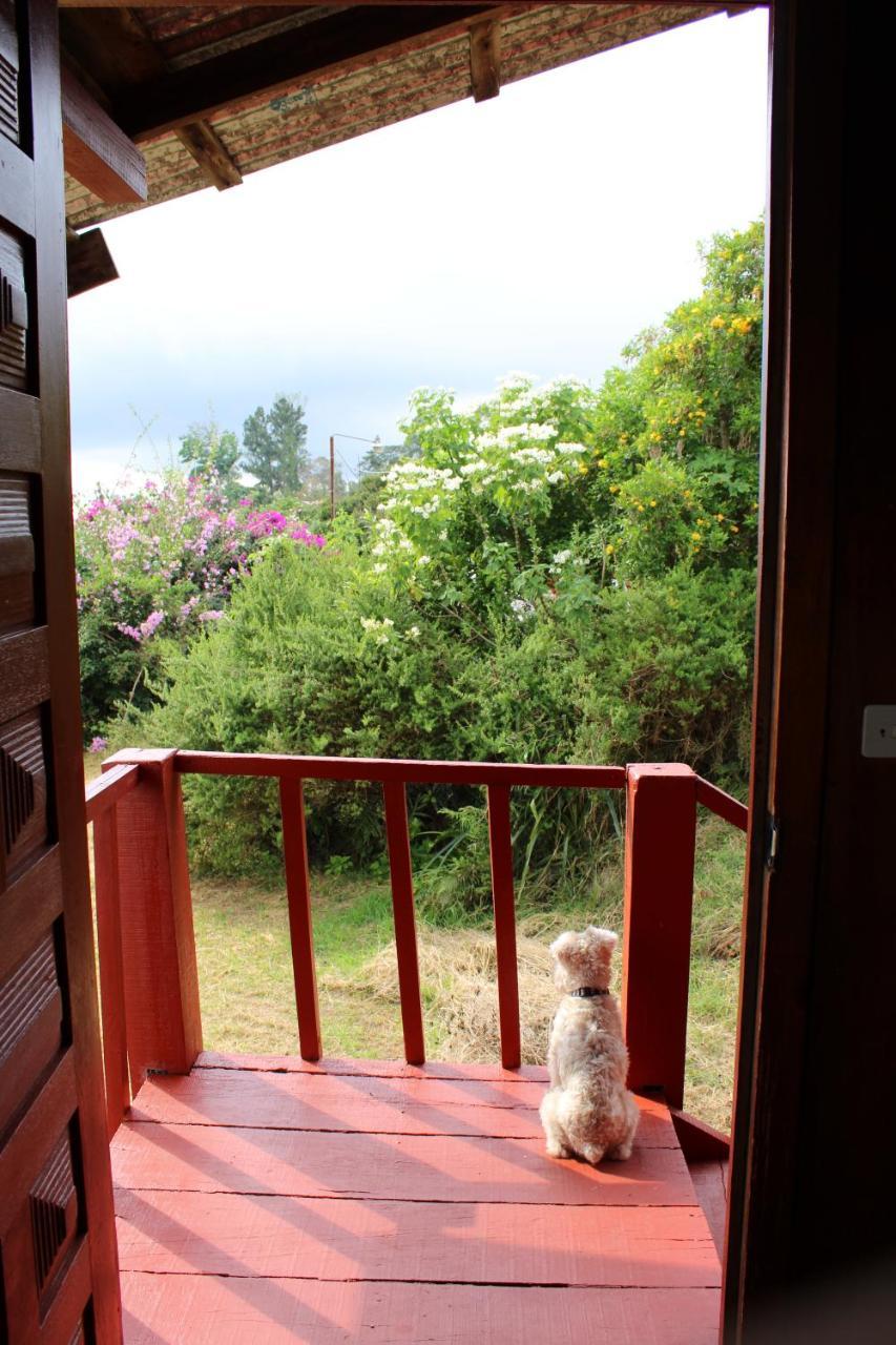 Hotel Las Fresas Del Volcan Poas Sabana Redonda 外观 照片